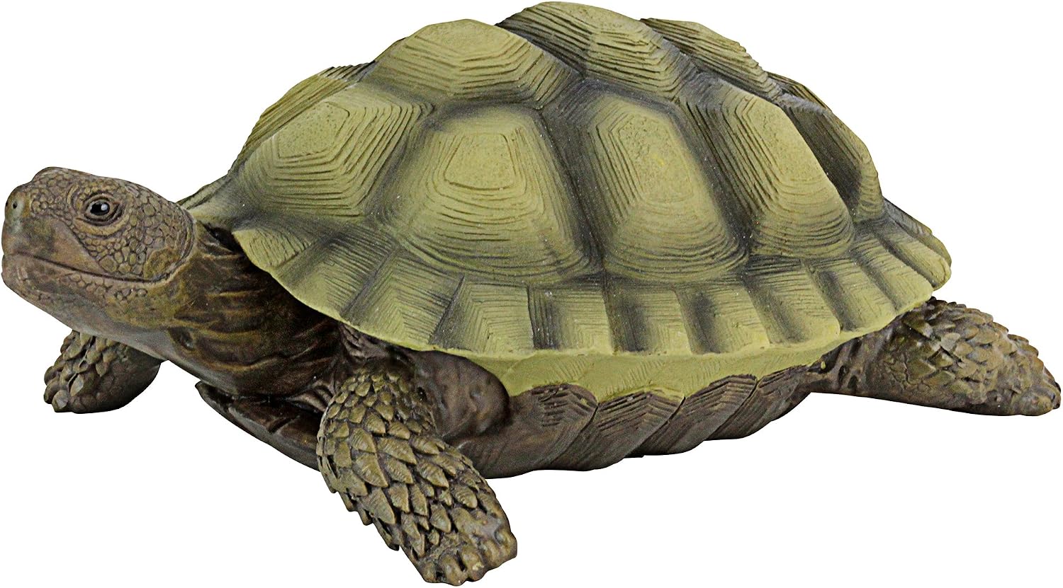 Design Toscano QM1887611 Gilbert the Box Turtle Garden Decor Animal Statue