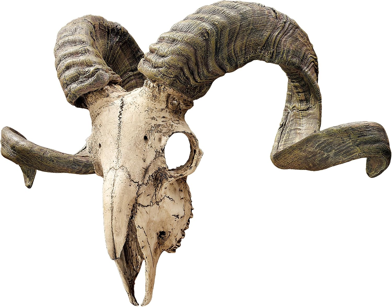 Design Toscano Corsican Ram Skull and Horns Wall Sculpture Faux Taxidermy Animal Trophy, 19 Inch, Cast Stone Resin, Painted Bone Finish