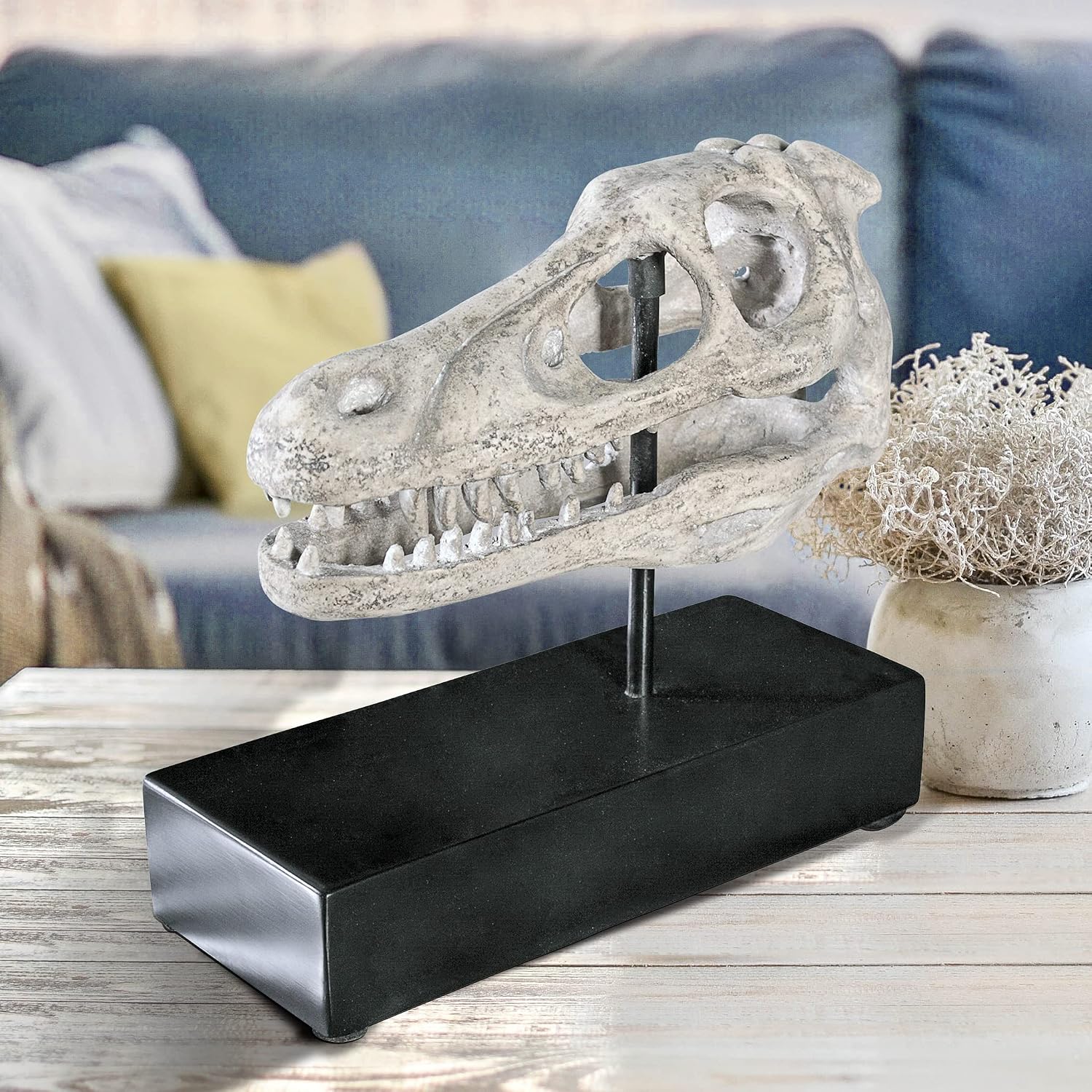 Design Toscano Velociraptor Dinosaur Skull Fossil Statue on Museum Mount
