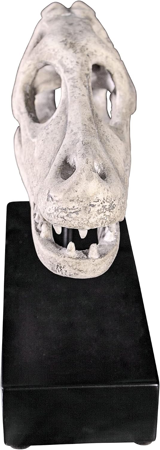 Design Toscano Velociraptor Dinosaur Skull Fossil Statue on Museum Mount