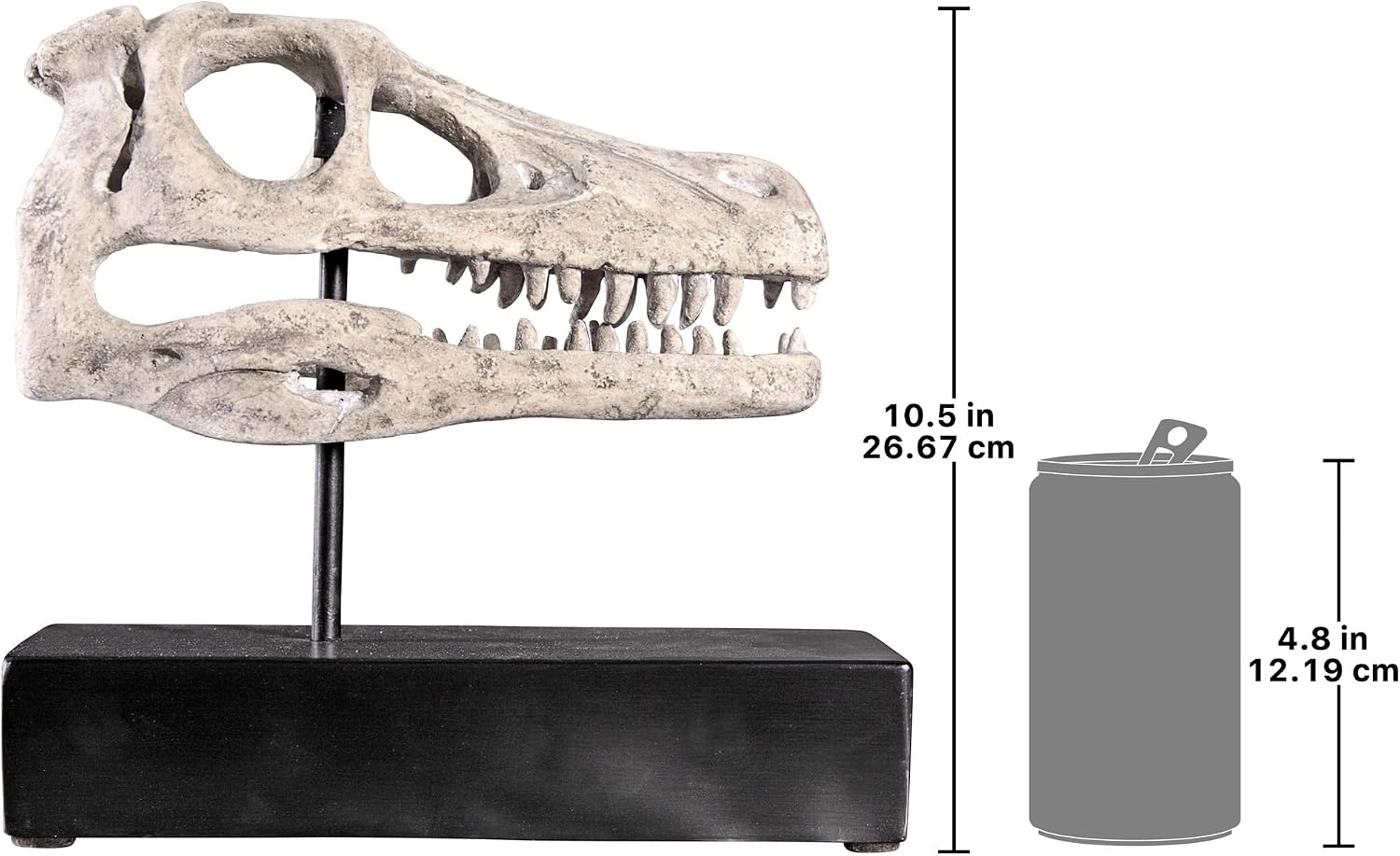 Design Toscano Velociraptor Dinosaur Skull Fossil Statue on Museum Mount