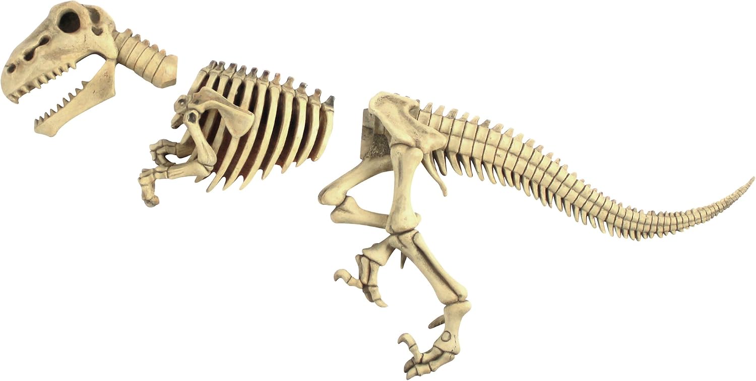 Design Toscano DB383021 Raptor Skeleton Garden Sculpture,full color
