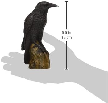 Design Toscano Mystic Night Raven Statues