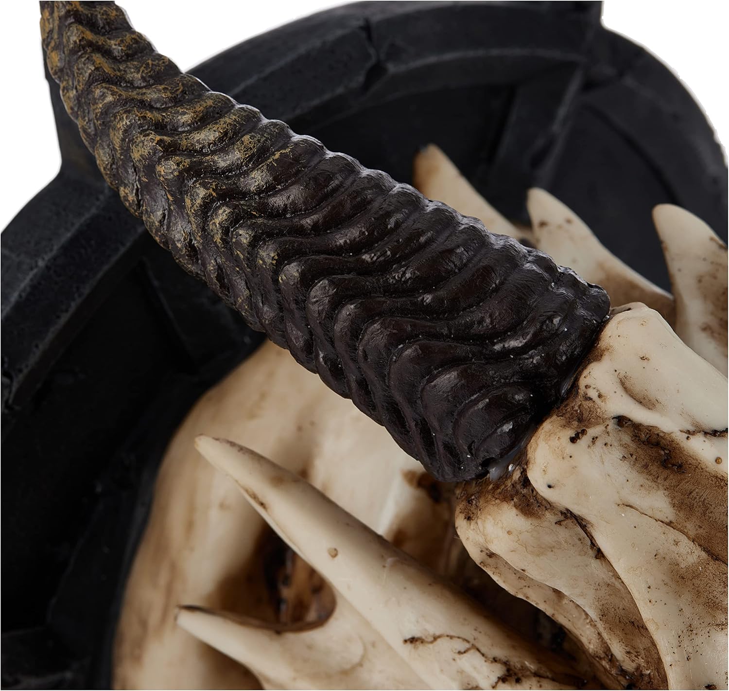 Design Toscano Horned Dragon Skull Wall Trophy