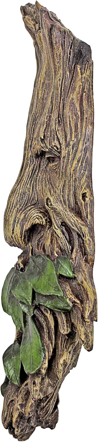 Design Toscano Whispering Wilhelm Tree ENT Plaque